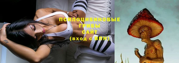 ПСИЛОЦИБИНОВЫЕ ГРИБЫ Алексеевка