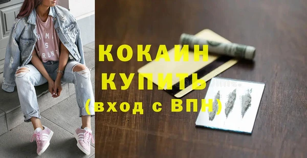 кокс Алексин