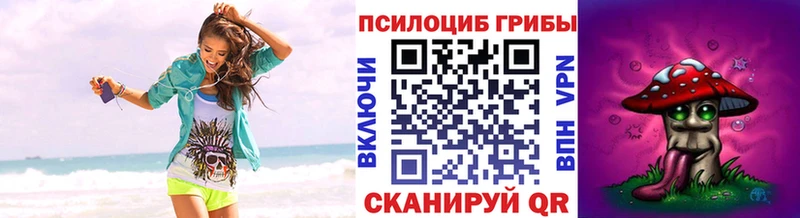 Псилоцибиновые грибы Cubensis  Анива 